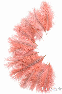 Strauss Bellies - 8-13 cm - lachs-rosa-hellgrau